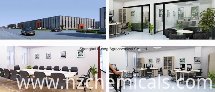 Plant Growth Promotor Hormones Pgr Abscisic Acid